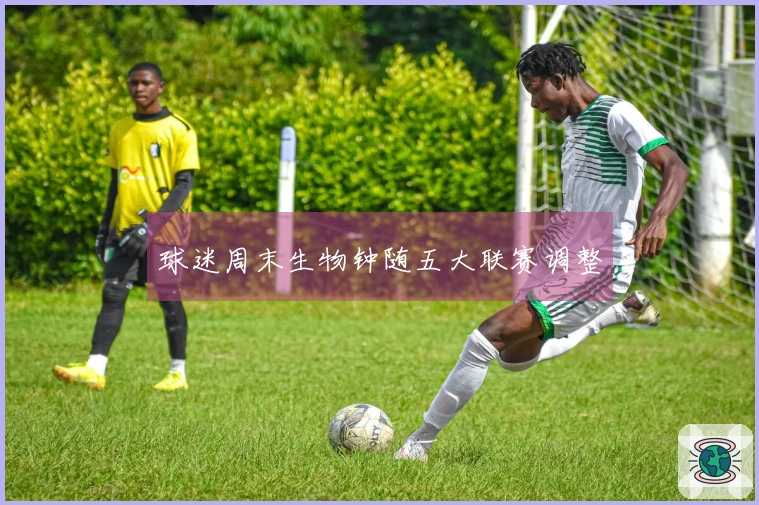 球迷周末生物钟随五大联赛调整